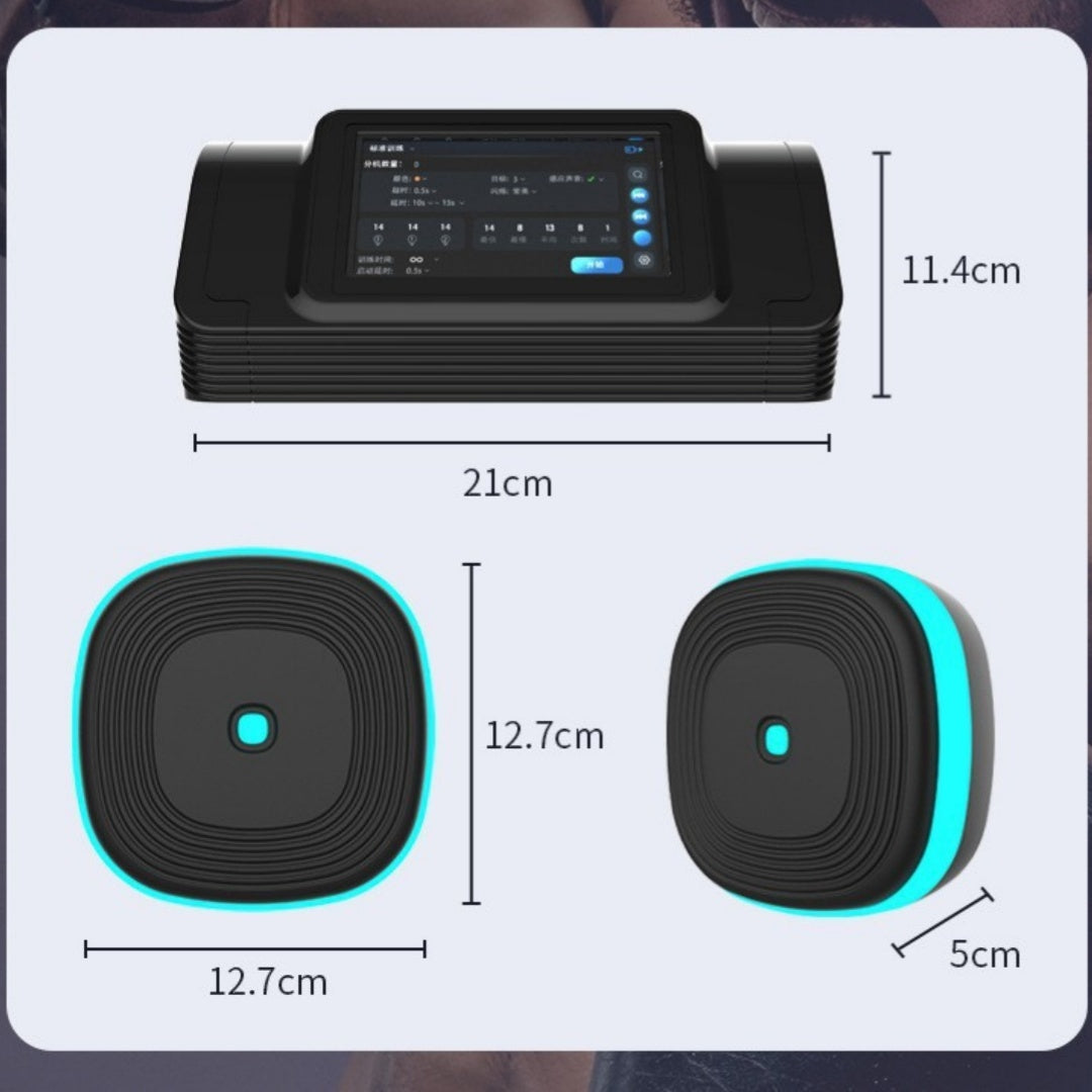 Home Smart Boxing Target