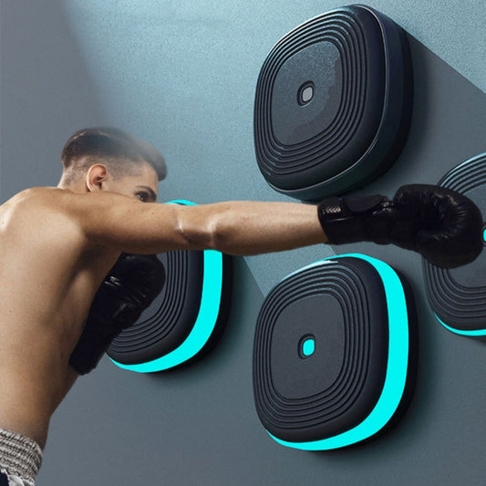Home Smart Boxing Target